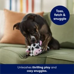 Frisco Cow Plush Squeaky Dog Toy 8 Frisco Cow Plush Squeaky Dog Toy -Chewy 147003 PT3. AC SS1800 V1686079871
