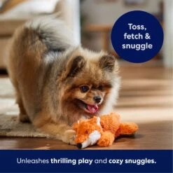 Frisco Fox Plush Squeaky Dog Toy -Chewy 147012 PT4. AC SS1800 V1695671028