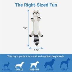 Frisco Raccoon Skinny Plush Squeaky Dog Toy 7 Frisco Raccoon Skinny Plush Squeaky Dog Toy -Chewy 147045 PT2. AC SS1800 V1539205484