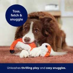 Frisco Fox Skinny Plush Squeaky Dog Toy -Chewy 147049 PT5. AC SS1800 V1691776638