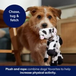 Frisco Cow Plush With Inside Rope Squeaky Dog Toy -Chewy 147063 PT5. AC SS1800 V1691776574