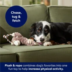 Frisco Monkey Plush With Rope Squeaky Dog Toy -Chewy 147067 PT4. AC SS1800 V1686079871