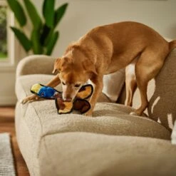 Frisco Duck Flat Plush Squeaky Dog Toy 8 Frisco Duck Flat Plush Squeaky Dog Toy -Chewy 147069 PT3. AC SS1800 V1674158058