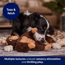 Frisco Gorilla Muscle Plush Squeaky Dog Toy 12 Frisco Gorilla Muscle Plush Squeaky Dog Toy -Chewy 147084 PT5. AC SS1800 V1694182068