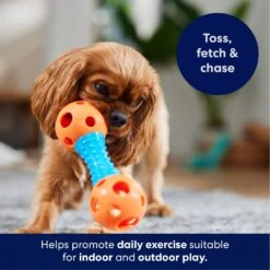Frisco Dumbbell TPR Fetch Dog Toy -Chewy 147108 PT3. AC SS1800 V1695241969
