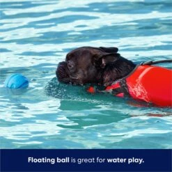 Frisco Foam Rubber Floating Fetch Ball No Squeak Dog Toy -Chewy 152798 PT3. AC SS1800 V1686579688
