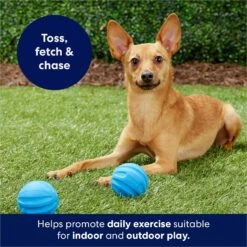 Frisco Foam Rubber Floating Fetch Ball No Squeak Dog Toy -Chewy 152798 PT4. AC SS1800 V1686579140