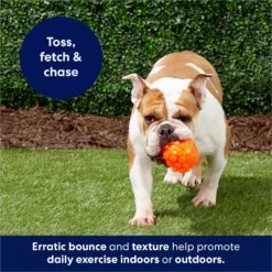 Frisco Fetch Squeaky TPR Ball Dog Toy -Chewy 152801 PT4. AC SS1800 V1686580091