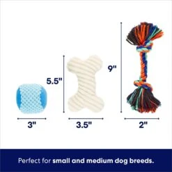 Frisco Chewy Box Hide & Seek Puzzle Plush Squeaky Dog Toy 11 Frisco Chewy Box Hide & Seek Puzzle Plush Squeaky Dog Toy -Chewy 152808 PT2. AC SS1800 V1695659219