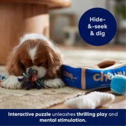 Frisco Chewy Box Hide & Seek Puzzle Plush Squeaky Dog Toy 14 Frisco Chewy Box Hide & Seek Puzzle Plush Squeaky Dog Toy -Chewy 152808 PT5. AC SS1800 V1695670752