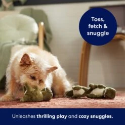 Frisco Volcano Hide & Seek Puzzle Plush Squeaky Dog Toy Refills, 3 Count -Chewy 152814 PT5. AC SS1800 V1691776693