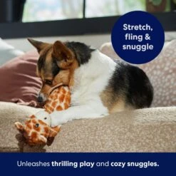 Frisco Giraffe Bungee Plush Squeaky Dog Toy -Chewy 152822 PT5. AC SS1800 V1691776644