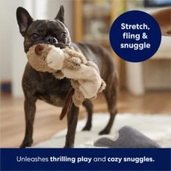 Frisco Beaver Bungee Plush Squeaky Dog Toy 12 Frisco Beaver Bungee Plush Squeaky Dog Toy -Chewy 152824 PT5. AC SS1800 V1686580146