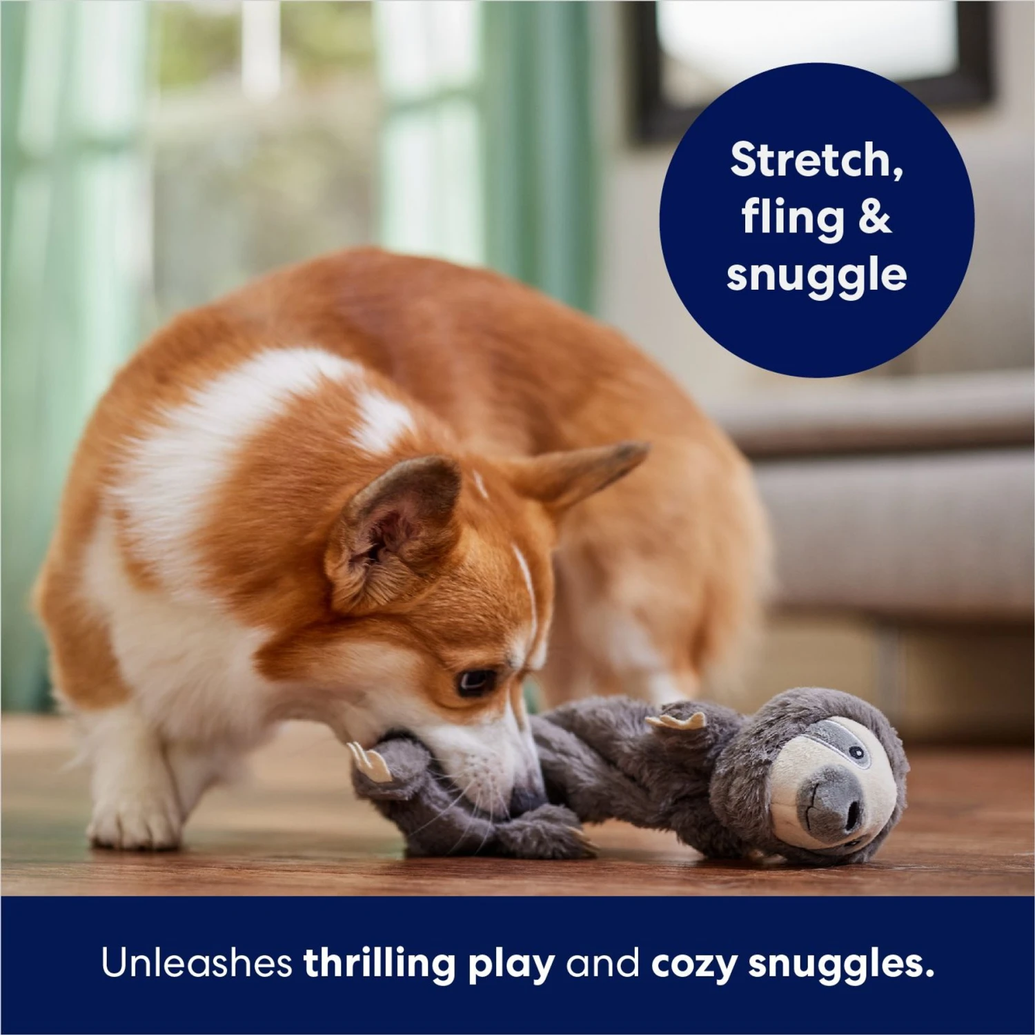 Frisco Sloth Bungee Plush Squeaky Dog Toy 7 Frisco Sloth Bungee Plush Squeaky Dog Toy - Image 5