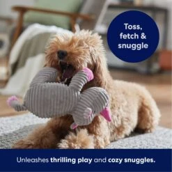 Frisco Rhino Corduroy Plush Squeaky Dog Toy -Chewy 152828 PT4. AC SS1800 V1695659205