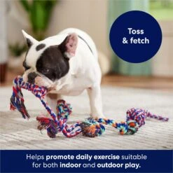 Frisco Rope Multipack Dog Toy 8 Frisco Rope Multipack Dog Toy -Chewy 152838 PT2. AC SS1800 V1686579143