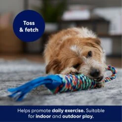 Frisco Rope With Handle & Tassels Dog Toy 8 Frisco Rope With Handle & Tassels Dog Toy -Chewy 152840 PT3. AC SS1800 V1695241916