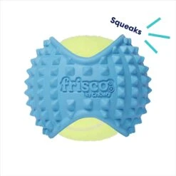 Frisco Fetch Squeaky Tennis Ball With Rubber Sleeve Dog Toy -Chewy 152844 PT2. AC SS1800 V1691776695