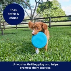 Frisco Fetch Rubber Flyer Dog Toy -Chewy 152848 PT5. AC SS1800 V1692370079