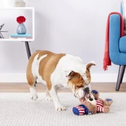 Frisco American Flag Bear Plush Squeaky Dog Toy 7 Frisco American Flag Bear Plush Squeaky Dog Toy -Chewy 157187 PT2. AC SS1800 V1559764047