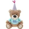 Frisco Birthday Bear Plush Squeaky Dog Toy -Chewy 162836 Main. AC SS1800 V1565379440