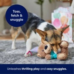Frisco Birthday Bear Plush Squeaky Dog Toy 12 Frisco Birthday Bear Plush Squeaky Dog Toy -Chewy 162836 PT4. AC SS1800 V1695670999
