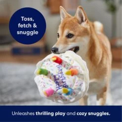 Frisco Birthday Cake Plush Squeaky Dog Toy -Chewy 162839 PT4. AC SS1800 V1695671061
