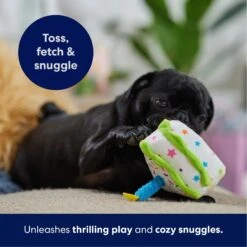 Frisco Birthday Cake Slice Plush Squeaky Dog Toy -Chewy 162906 PT4. AC SS1800 V1695671059