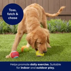 Frisco Birthday Fetch Squeaky Tennis Ball Dog Toy -Chewy 162914 PT3. AC SS1800 V1692019914