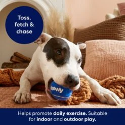 Frisco Chewy Fetch Squeaky Tennis Ball Dog Toy -Chewy 164314 PT3. AC SS1800 V1691783970