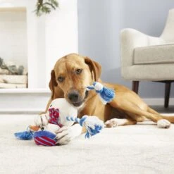 Frisco Holiday Snowman Plush With Rope Squeaky Dog Toy 9 Frisco Holiday Snowman Plush With Rope Squeaky Dog Toy -Chewy 164645 PT2. AC SS1800 V1568910233