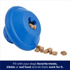 Frisco Flying Saucer Rubber Treat Dispenser Dog Toy -Chewy 164757 PT3. AC SS1800 V1686579570