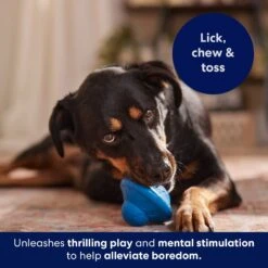 Frisco Flying Saucer Rubber Treat Dispenser Dog Toy -Chewy 164757 PT5. AC SS1800 V1691784247