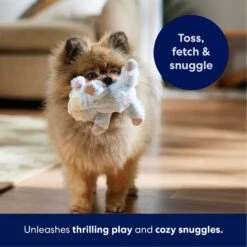 Frisco Lamb Plush Squeaky Dog Toy 12 Frisco Lamb Plush Squeaky Dog Toy -Chewy 174686 PT4. AC SS1800 V1695659156