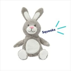 Frisco Bunny Textured Plush Squeaky Dog Toy 10 Frisco Bunny Textured Plush Squeaky Dog Toy -Chewy 174693 PT2. AC SS1800 V1695670750