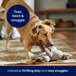 Frisco Bunny Textured Plush Squeaky Dog Toy 12 Frisco Bunny Textured Plush Squeaky Dog Toy -Chewy 174693 PT4. AC SS1800 V1695671088