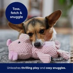 Frisco Pig Textured Plush Squeaky Dog Toy -Chewy 174695 PT4. AC SS1800 V1695670689