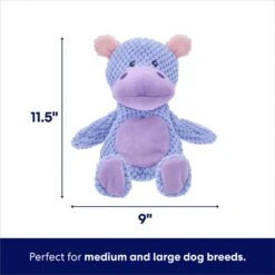 Frisco Hippo Textured Plush Squeaky Dog Toy 9 Frisco Hippo Textured Plush Squeaky Dog Toy -Chewy 174697 PT1. AC SS1800 V1695659154