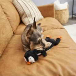 Frisco Penguin Skinny Plush Squeaky Dog Toy -Chewy 174707 PT2. AC SS1800 V1573492672