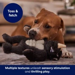 Frisco Rhino Muscle Plush Squeaky Dog Toy -Chewy 174719 PT5. AC SS1800 V1694182068