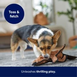 Frisco Beaver Stuffing-Free Flat Plush Squeaky Dog Toy -Chewy 174729 PT4. AC SS1800 V1695671063