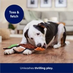 Frisco Mallard Stuffing-Free Flat Plush Squeaky Dog Toy -Chewy 174731 PT5. AC SS1800 V1686579082