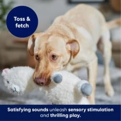 Frisco Llama Bobberz Plush Squeaky Dog Toy -Chewy 174741 PT4. AC SS1800 V1695671063