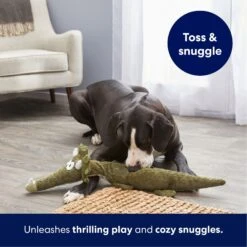 Frisco Triceratops Wagazoo Plush Squeaky Dog Toy -Chewy 174747 PT4. AC SS1800 V1695748419