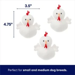 Frisco Chicken Coop Hide & Seek Puzzle Plush Squeaky Dog Toy -Chewy 174755 PT2. AC SS1800 V1691783968