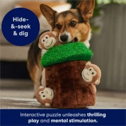 Frisco Monkeys In Tree Hide & Seek Puzzle Plush Squeaky Dog Toy -Chewy 174759 PT5. AC SS1800 V1702598595
