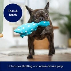 Frisco Dinosaur Latex Squeaky Dog Toy 10 Frisco Dinosaur Latex Squeaky Dog Toy -Chewy 174770 PT3. AC SS1800 V1686579138