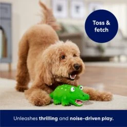 Frisco Alligator Latex Squeaky Dog Toy 9 Frisco Alligator Latex Squeaky Dog Toy -Chewy 174772 PT3. AC SS1800 V1686579212
