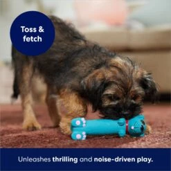 Frisco Latex Squeaky Puppy Toy 12 Frisco Latex Squeaky Puppy Toy -Chewy 174775 PT5. AC SS1800 V1691784247