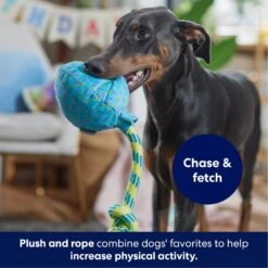 Frisco Birthday Balloon Plush With Rope Squeaky Dog Toy -Chewy 177807 PT3. AC SS1800 V1695241973